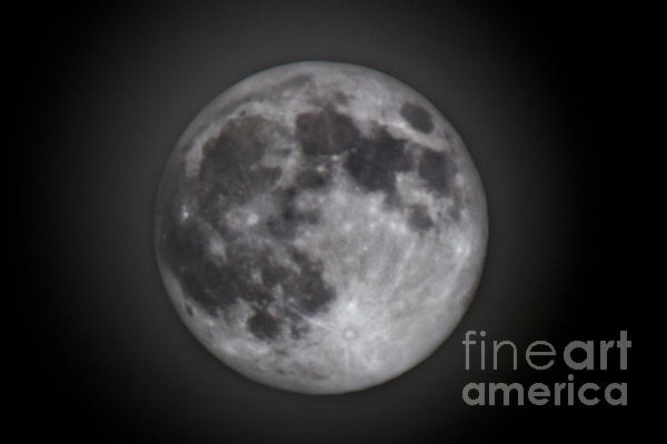 Perigee Moon Photograph by Joel Loftus