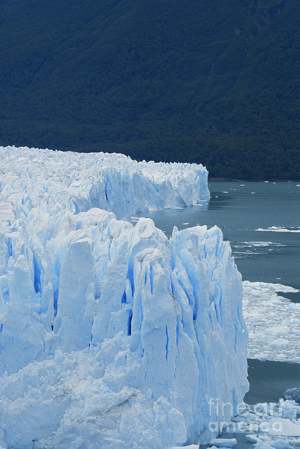 Perito Moreno Glacier Photograph by Mark Newman