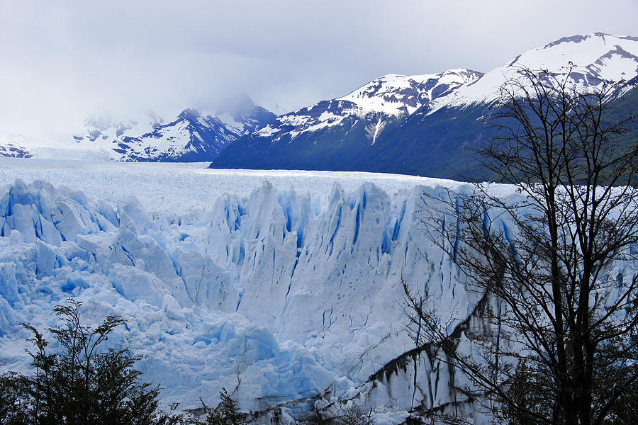 Perito Moreno Glacier Photograph by Michele Burgess