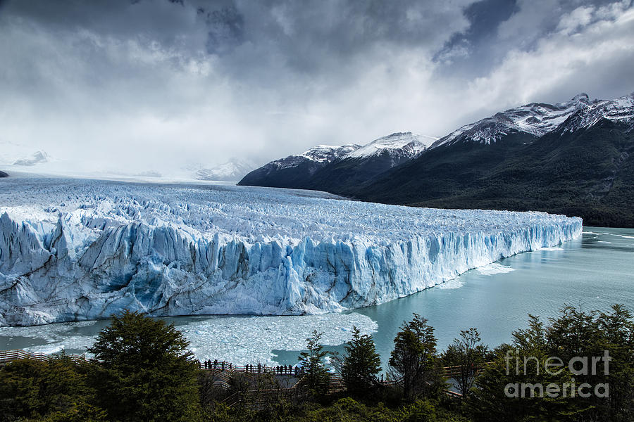 Los Glaciares National Park Photograph - Perito Moreno Glacier by Timothy Hacker