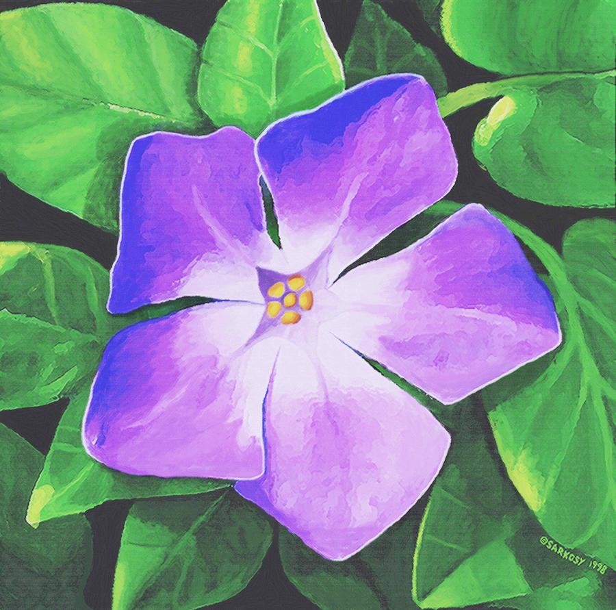 Periwinkle Painting by Sophia Schmierer