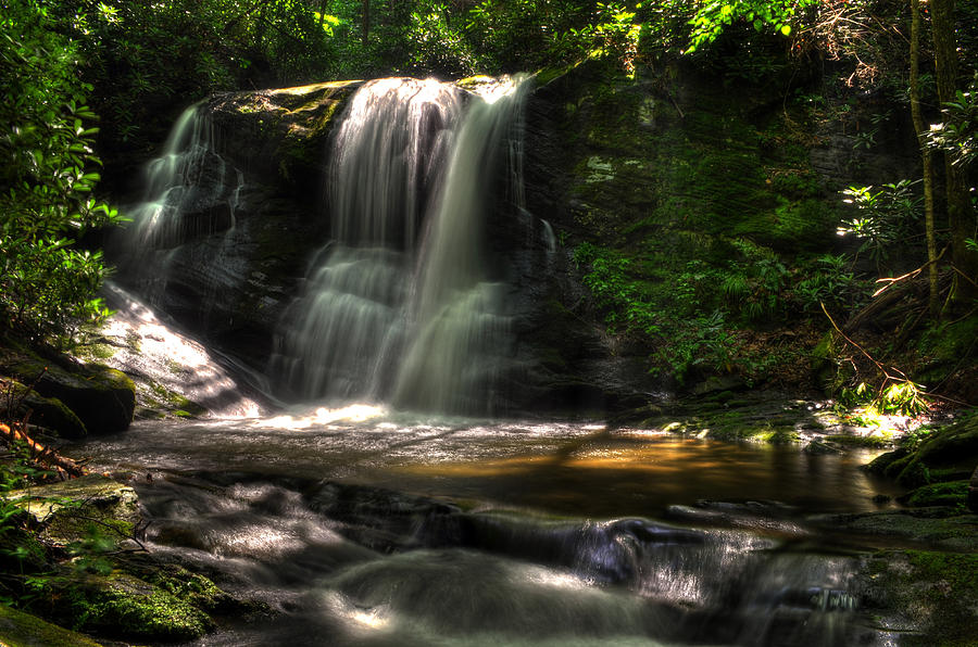 Tree Photograph - Perkins Falls by Greg and Chrystal Mimbs