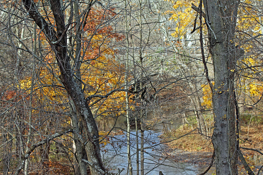 Perkiomen Creek At Perkiomenville Photograph by Carol Senske