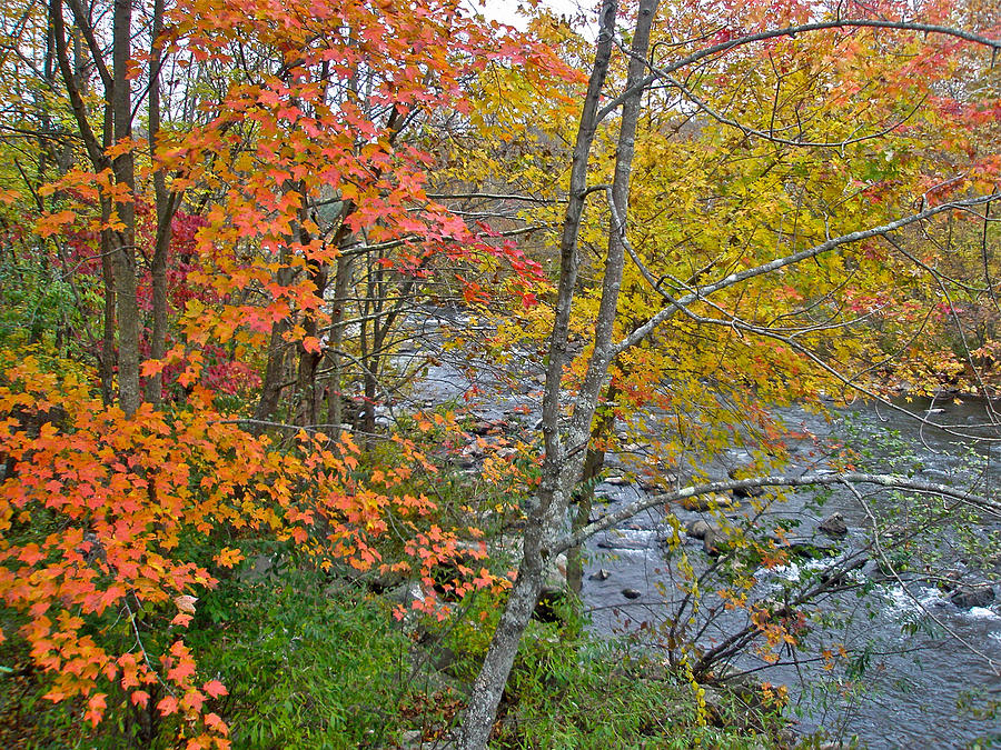 Perkiomen Creek - Perkiomenville PA - Autumn Foliage Photograph by Carol Senske