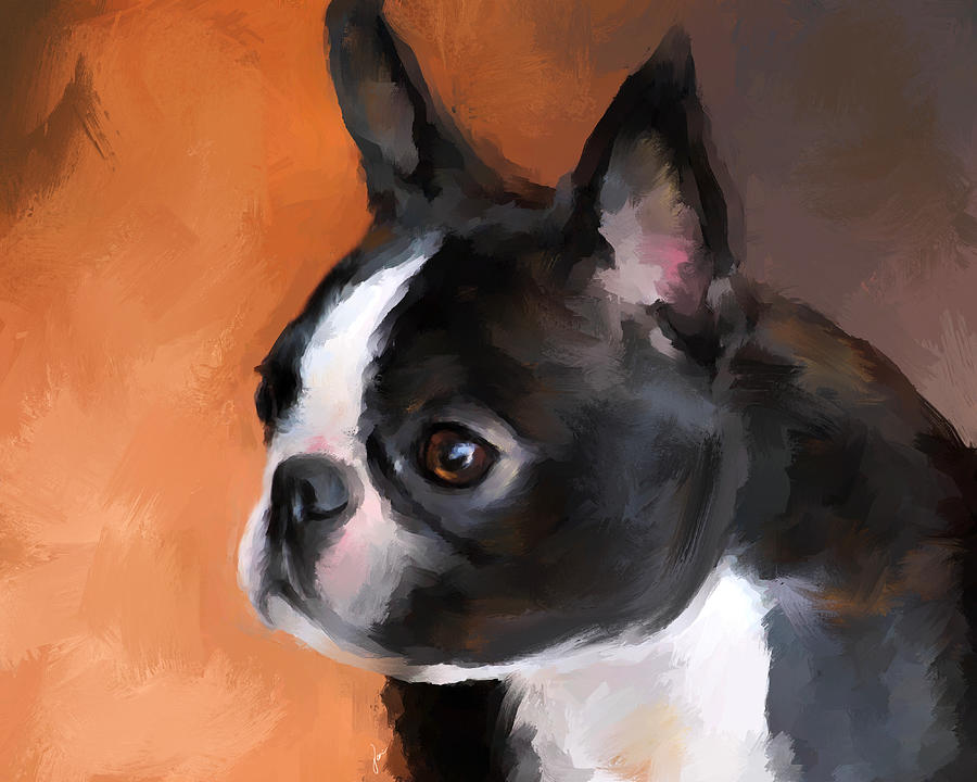 Perky Boston Terrier Painting by Jai Johnson