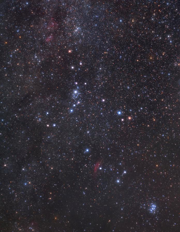 Perseus Constellation Photograph by Tony & Daphne Hallas/science Photo Library