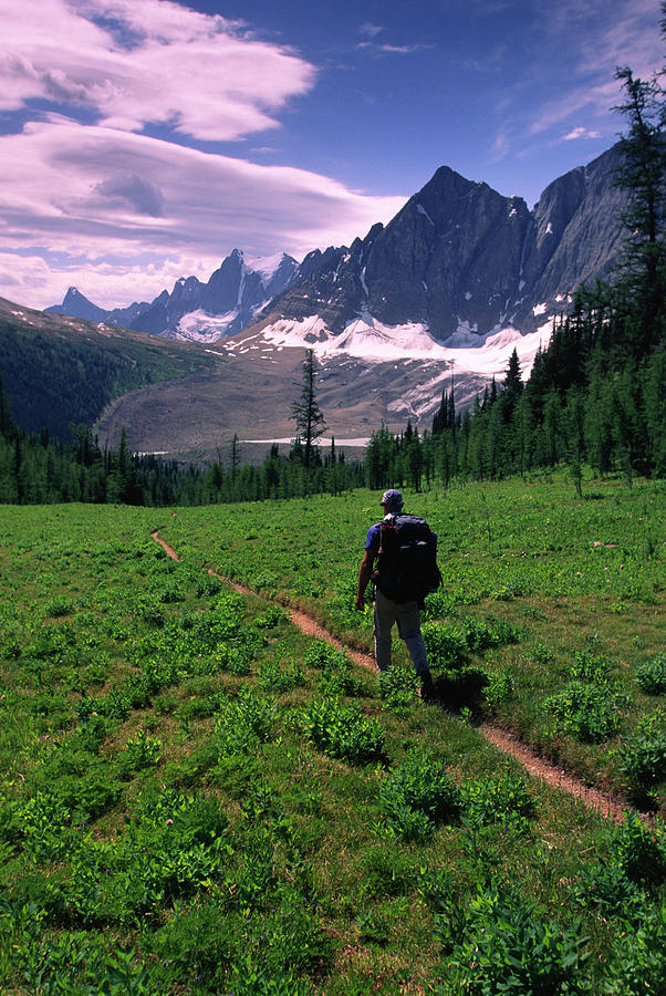 Person Hiking On Trail In Mountains By Whit Richardson