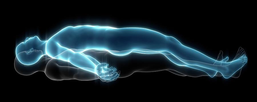 Person Lying Down Photograph by Science Photo Library Person Lying Down Photograph by Science Photo Library