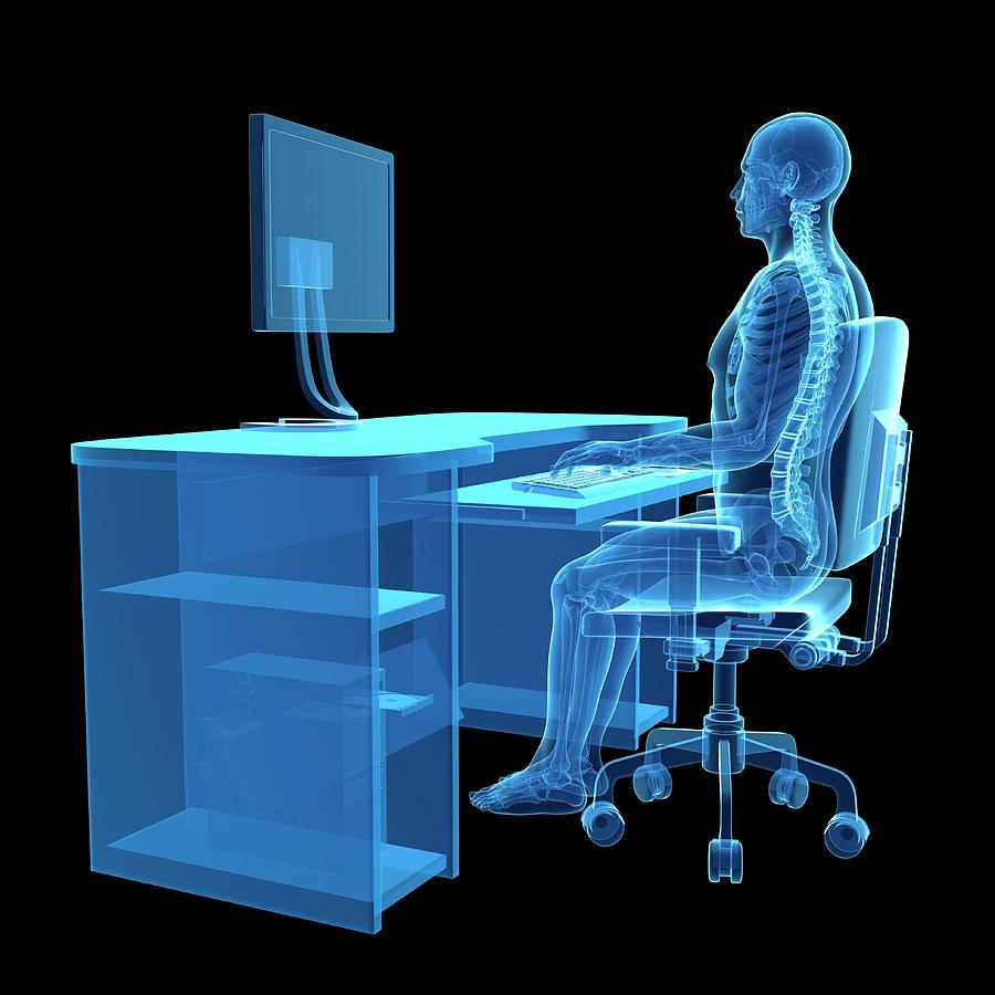 Person Sitting With Correct Posture Photograph by Sebastian Kaulitzki