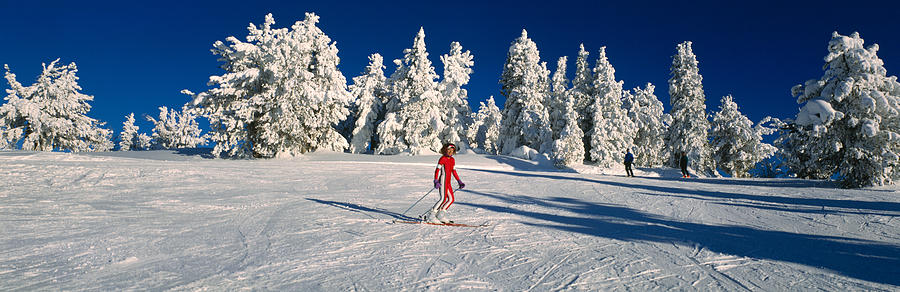 Nature Photograph - Person Skiing In Snow Covered Landscape by Panoramic Images
