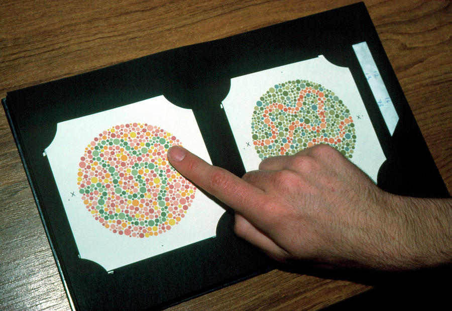 Medicine Photograph - Person Taking Colour Blindness Test by Andrew Mcclenaghan/science Photo Library.