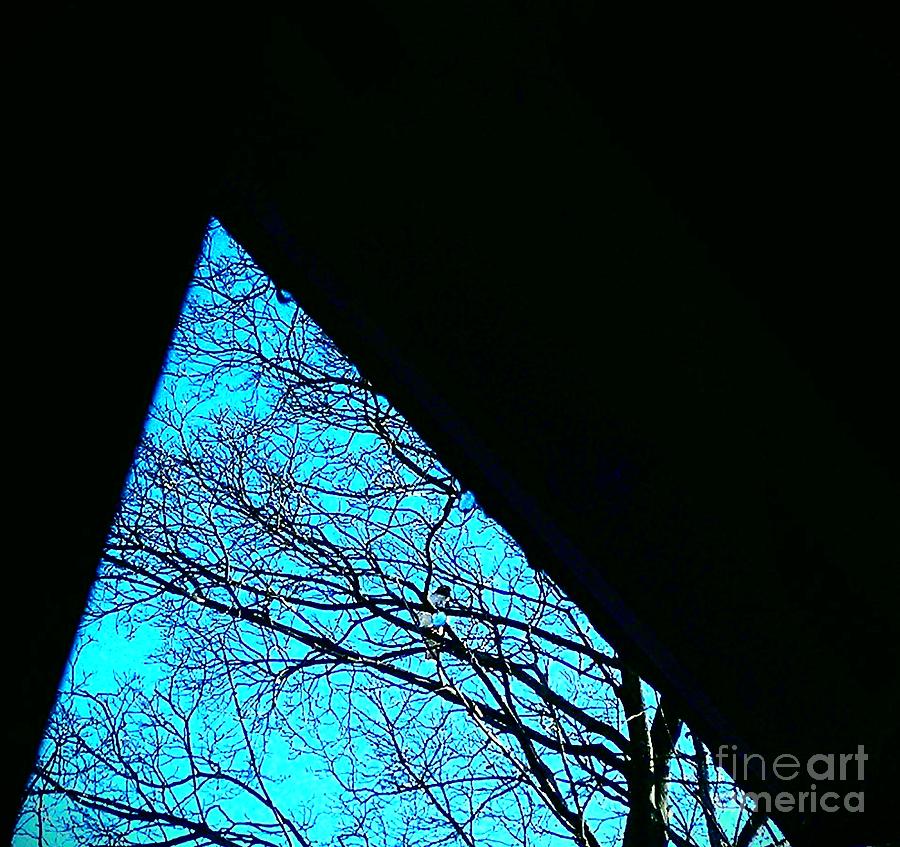 Blue Triangle Photograph by Jacqueline McReynolds