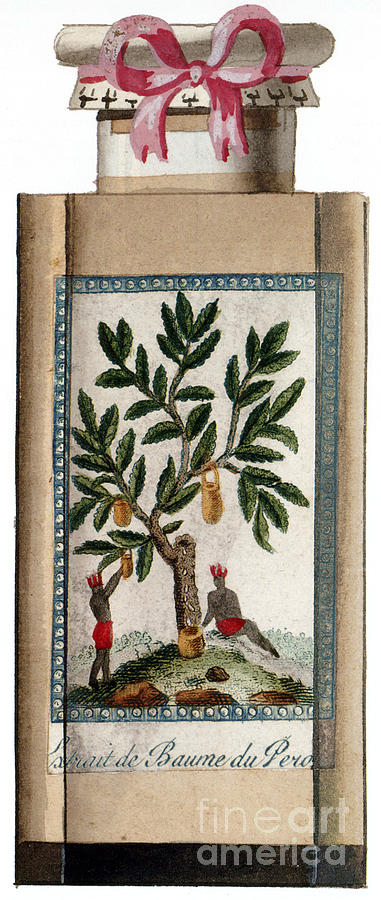 Peru Balsam Perfume Label 19th Century Photograph by Science Source