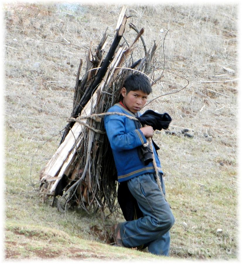 Peruvian boy gathers wood Photograph by Barbie Corbett-Newmin