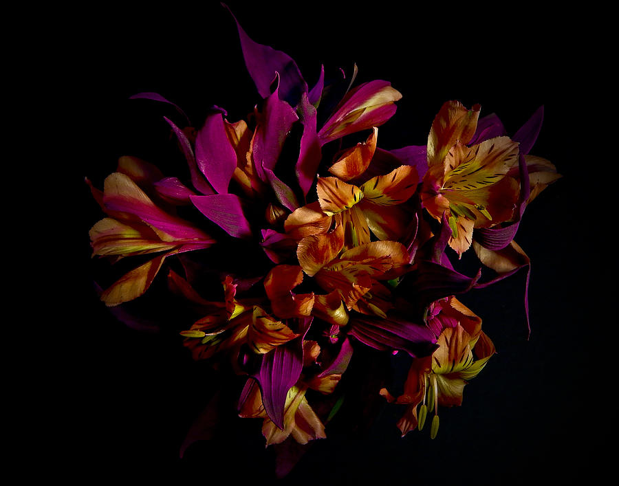 Peruvian Dark Fantazy Still Life Flower Art Poster Photograph by Lily Malor