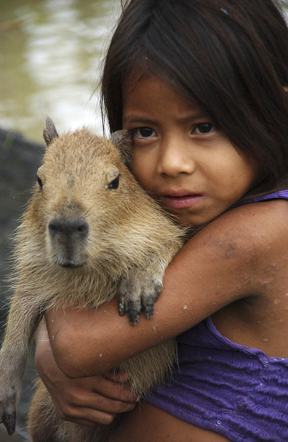 Peruvian Girl Photograph by Claudio Bacinello