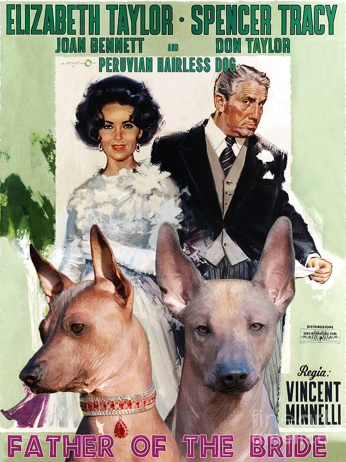 Dog Painting - Peruvian Hairless Dog Art Canvas Print - Father of the Bride Movie Poster by Sandra Sij