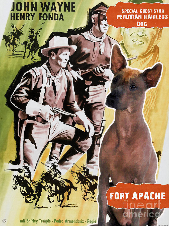 Dog Painting - Peruvian Hairless Dog Art Canvas Print - Fort Apache Movie Poster by Sandra Sij