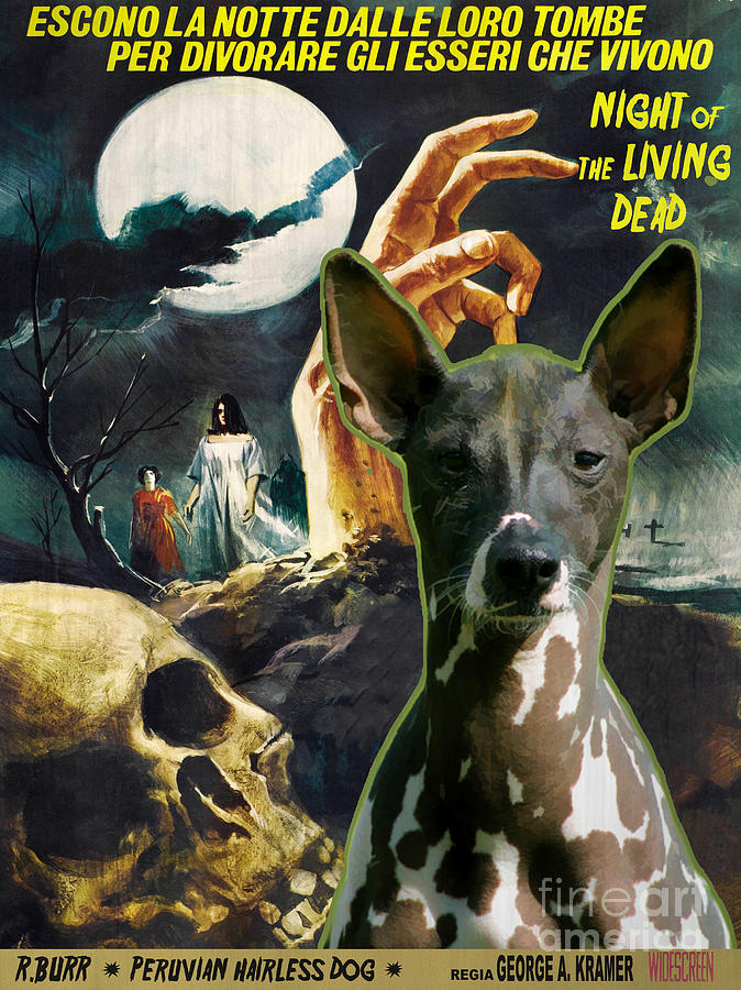 Dog Painting - Peruvian Hairless Dog Art Canvas Print - Night of the Living Dead Movie Poster by Sandra Sij