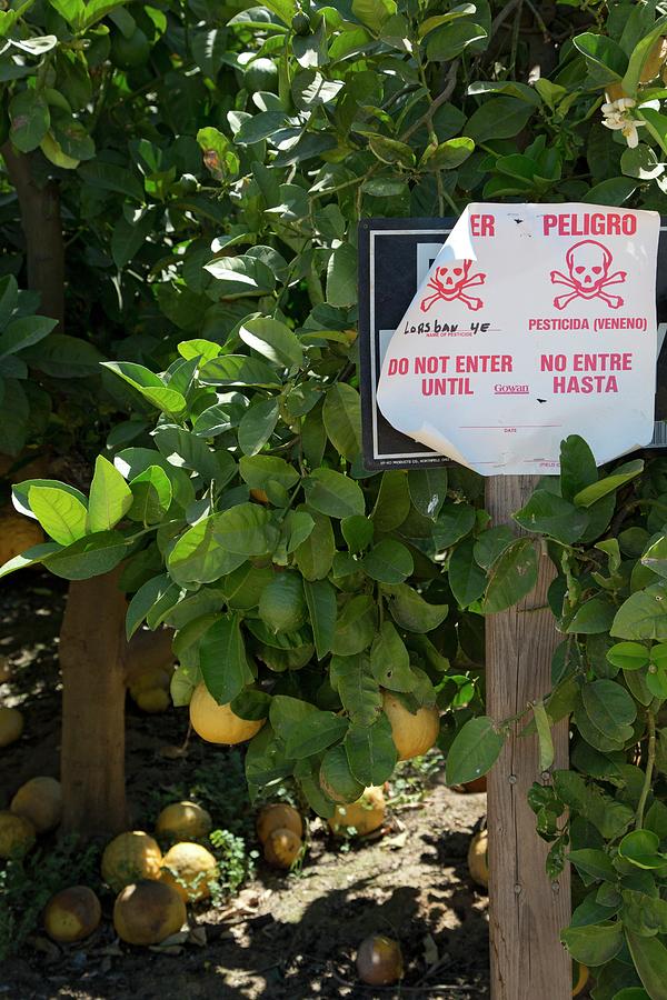Nature Photograph - Pesticide Warning Sign by Jim West