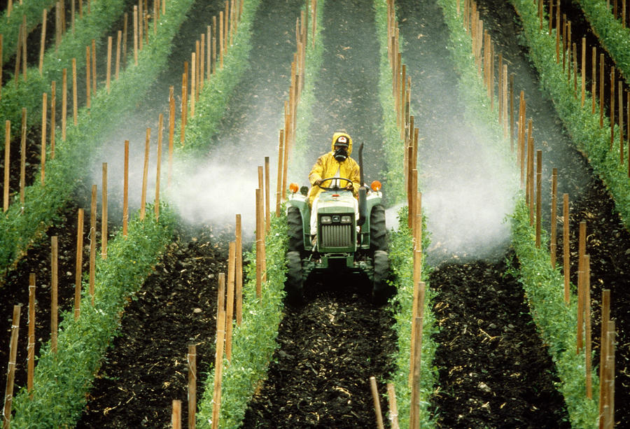 Pesticides Photograph by Richard Hansen