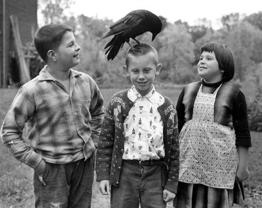 Vintage Photograph - Pet Crow by Retro Images Archive