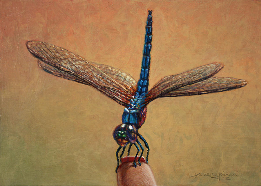Insects Painting - Pet Dragonfly by James W Johnson