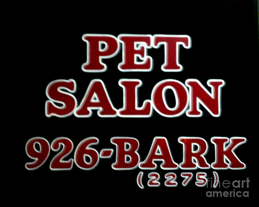 Pet Salon 926- BARK Photograph by Kelly Awad