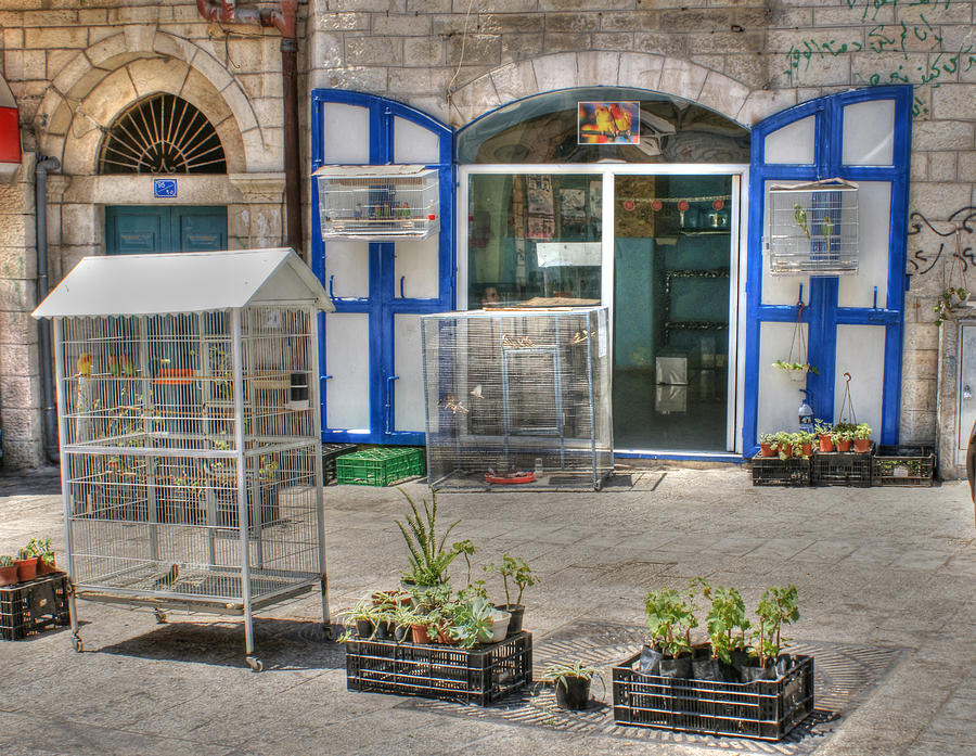 Pet Store in Bethlehem Photograph by David Birchall
