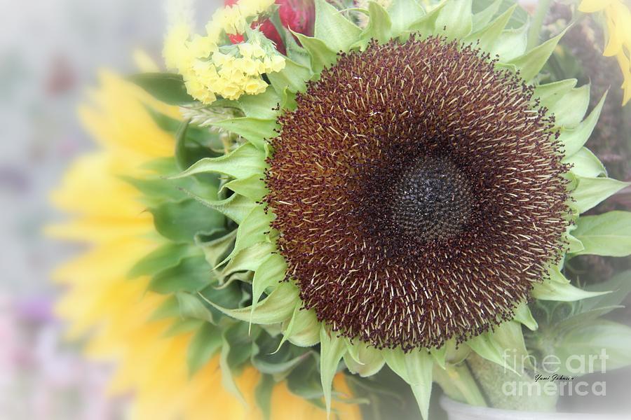 Petal less Sunflower Photograph by Yumi Johnson