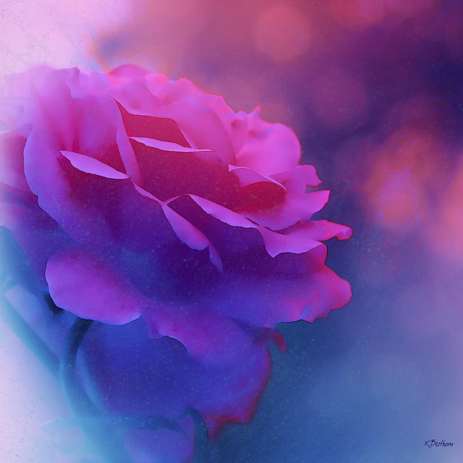 Misty Rose Blue Photograph by Kathy Besthorn