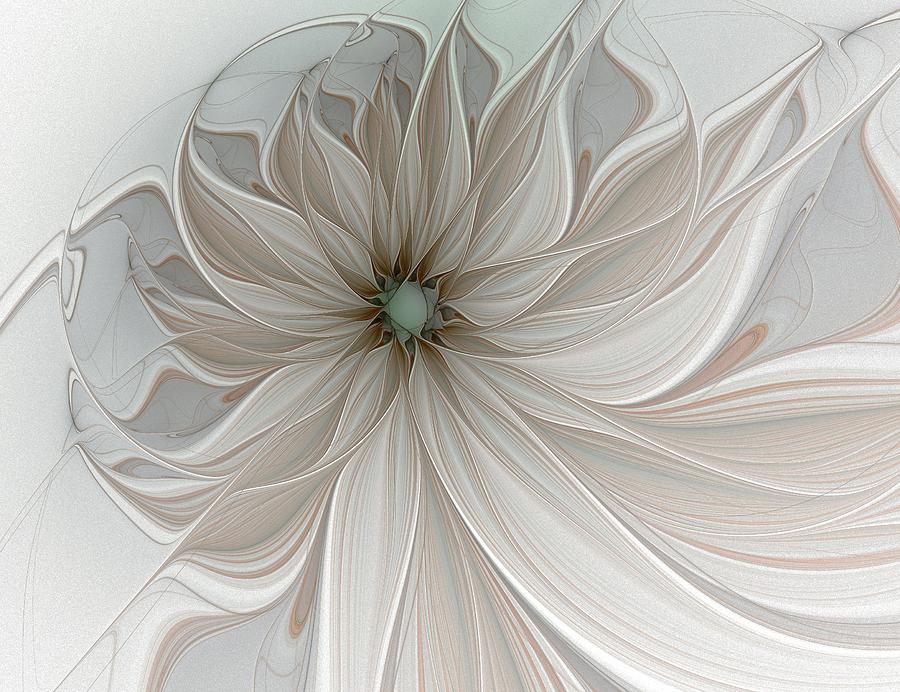 Petal Soft White Digital Art by Amanda Moore