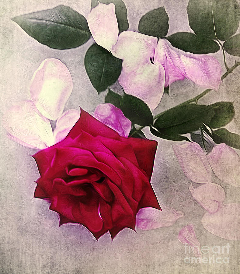 Petals and a Rose - Still Life Photograph by Kaye Menner