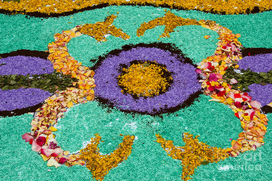 Petals and Stones Photograph by Bob Phillips