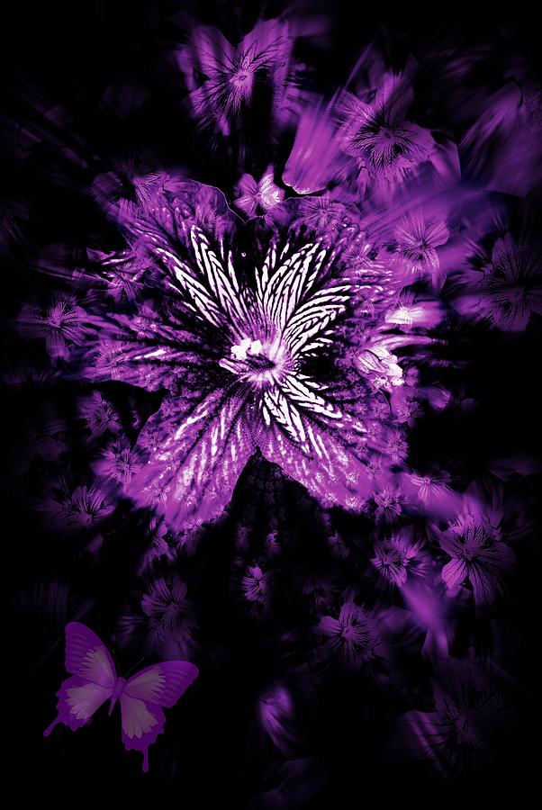 Petals from the Purple Photograph by Amanda Eberly