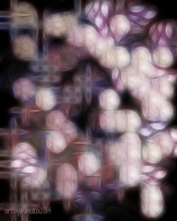 Petals in the Moonlight Digital Art by Mimulux Patricia No