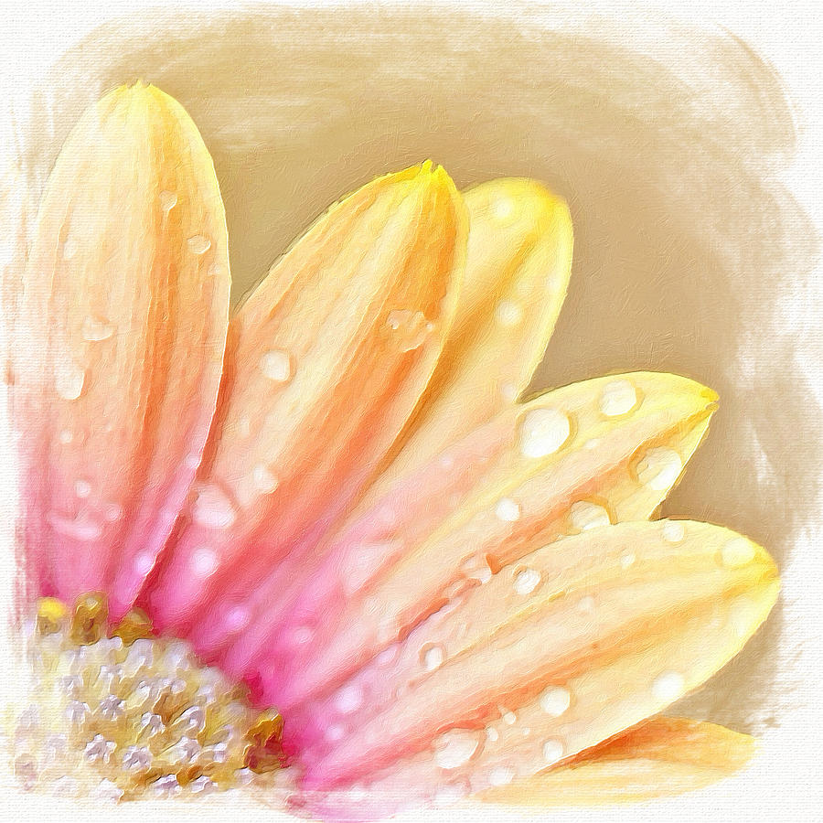 Petals in the Rain Painting by Bonnie Bruno