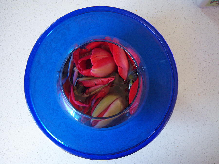 Petals in vase in vase Photograph by Conor Murphy