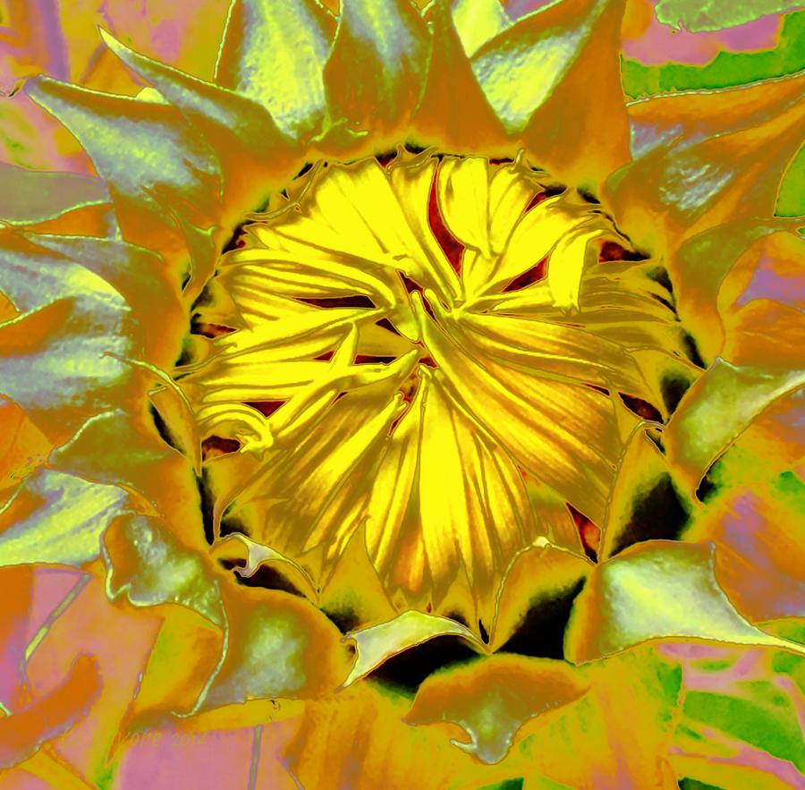 Petals Digital Art by Tg Devore