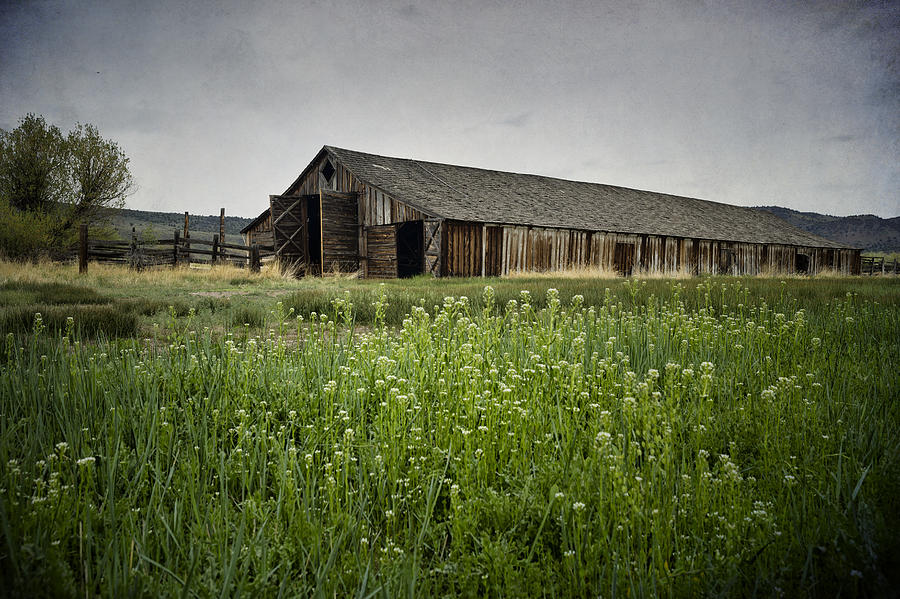 Pete French Long Barn - No. 1 Photograph by Belinda Greb - Pixels