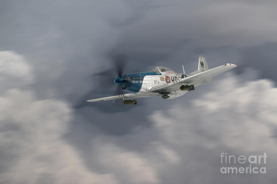 P51 Digital Art - Petie 352nd Fighter Group by Airpower Art