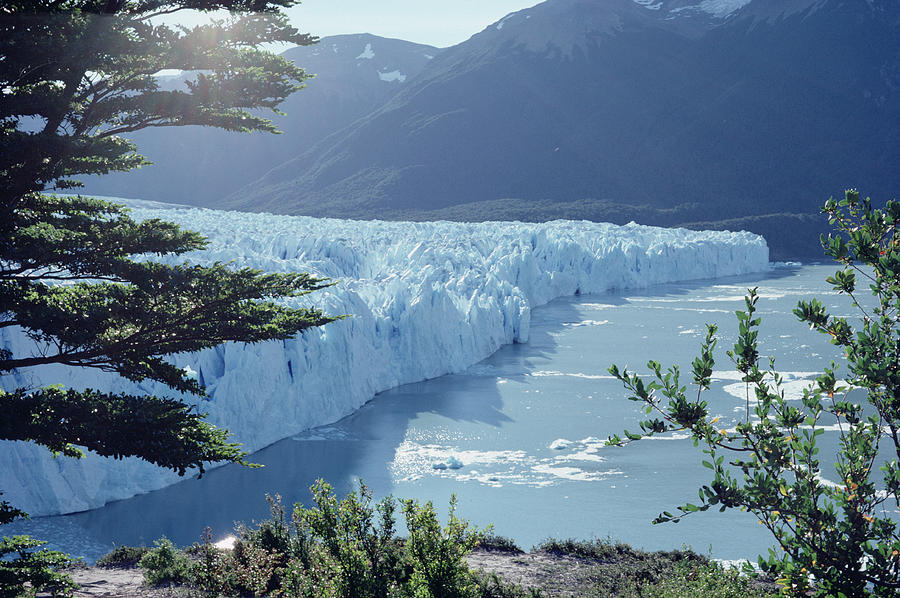 Petit Moreno Glacier Los Glaciares Np Photograph by Tui De Roy