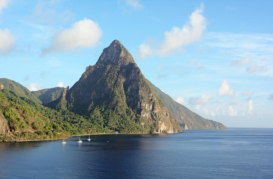 Petit Piton and Soufriere Bay - St. Lucia Photograph by Brendan Reals