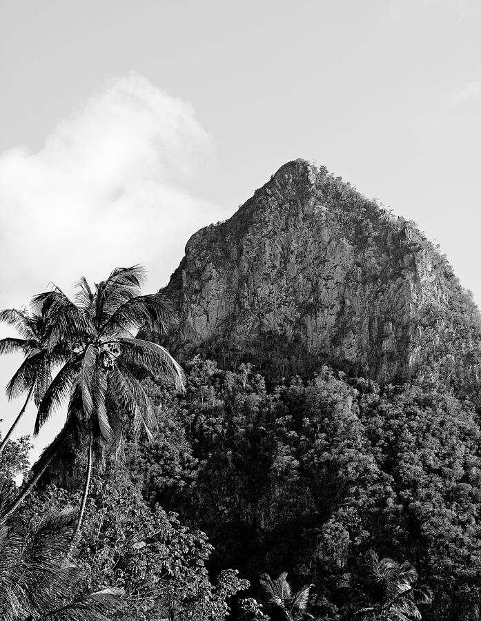 Petit Piton - black and white - St. Lucia Photograph by Brendan Reals