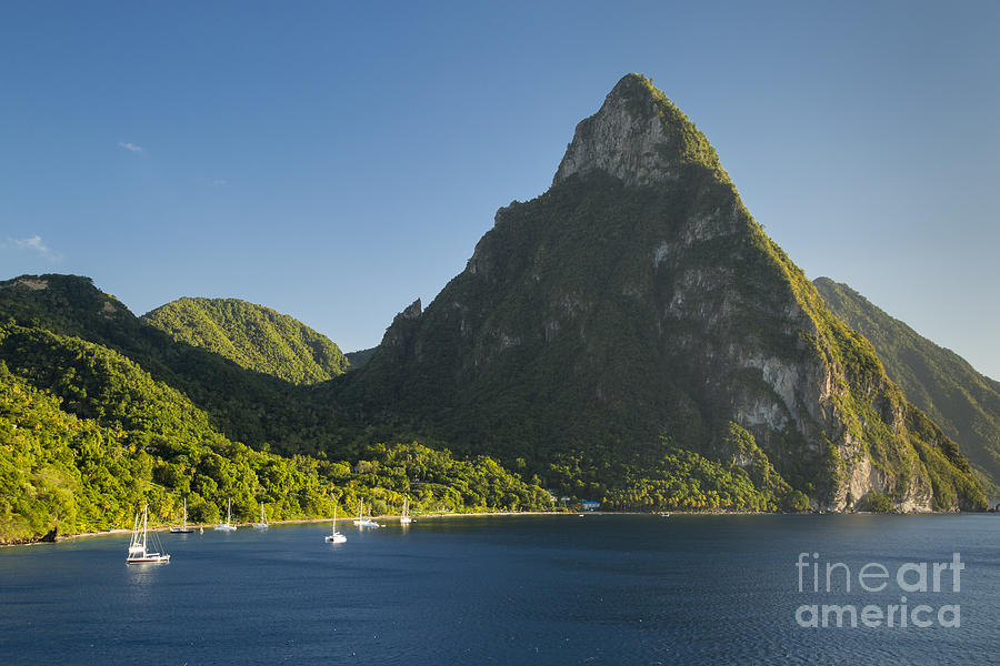Petite Piton - St Lucia Photograph by Brian Jannsen