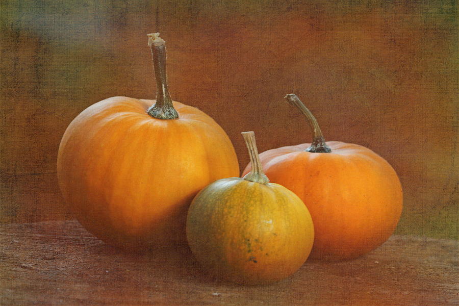 Petite Pumpkins Photograph by Angie Vogel