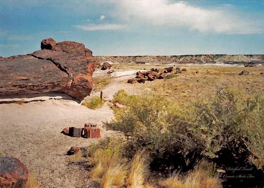 Petrified Forest National Park Photograph by Connie Fox
