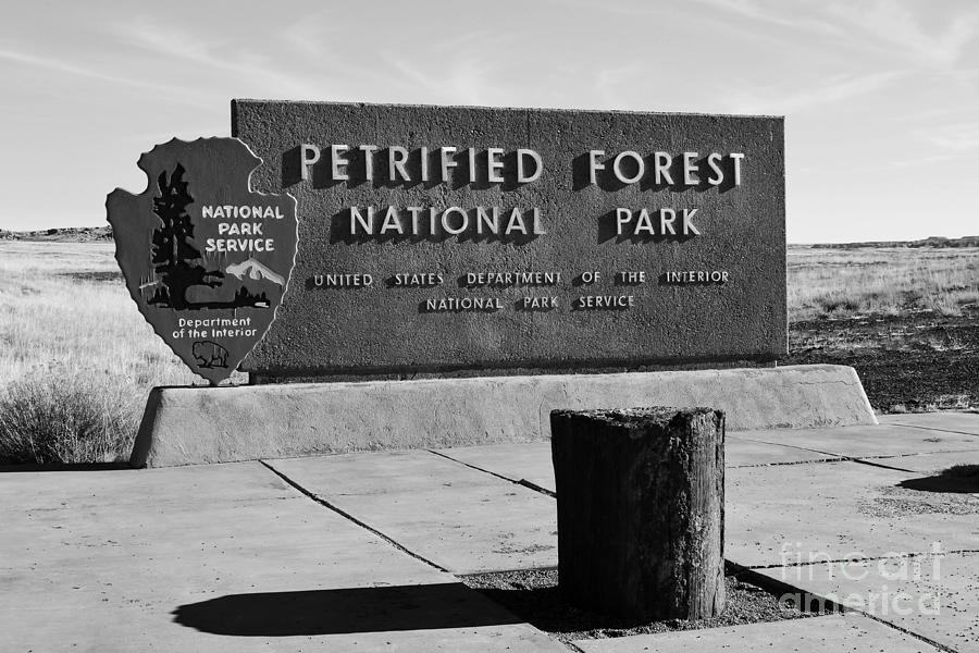 Petrified Forest National Park Entrance Sign Black and White Photograph by Shawn OBrien