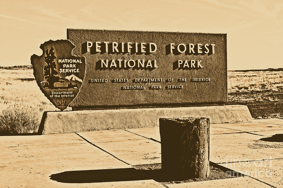 Petrified Forest National Park Entrance Sign Rustic Digital Art by Shawn OBrien