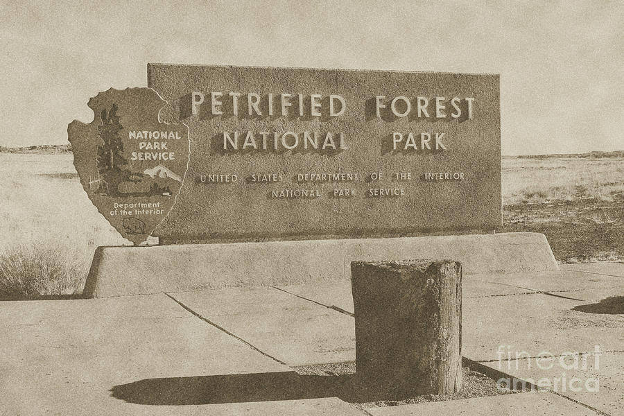 Petrified Forest National Park Entrance Sign Vintage Digital Art by Shawn OBrien